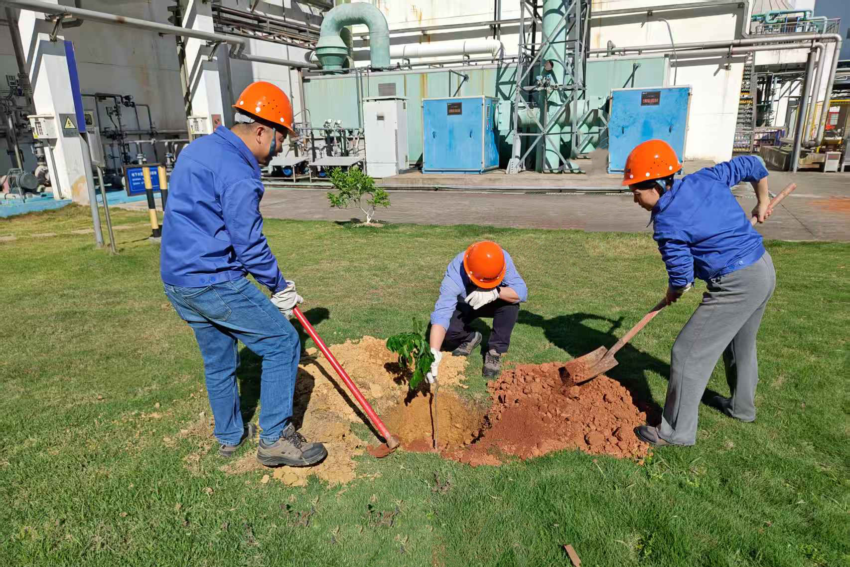 IMG_6269.JPG IMG_6269.JPG