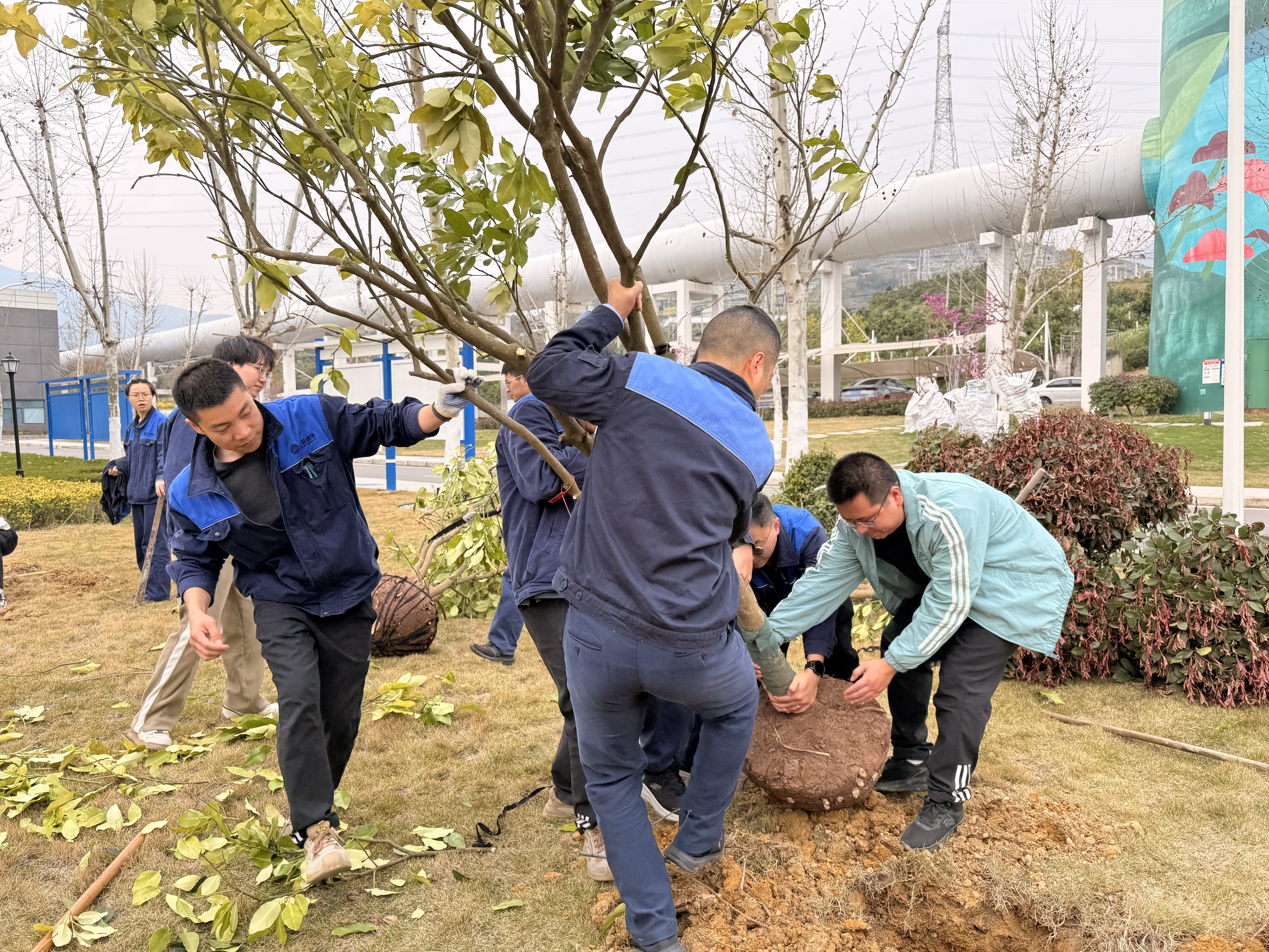 IMG_4949.HEIC.JPG IMG_4949.HEIC.JPG