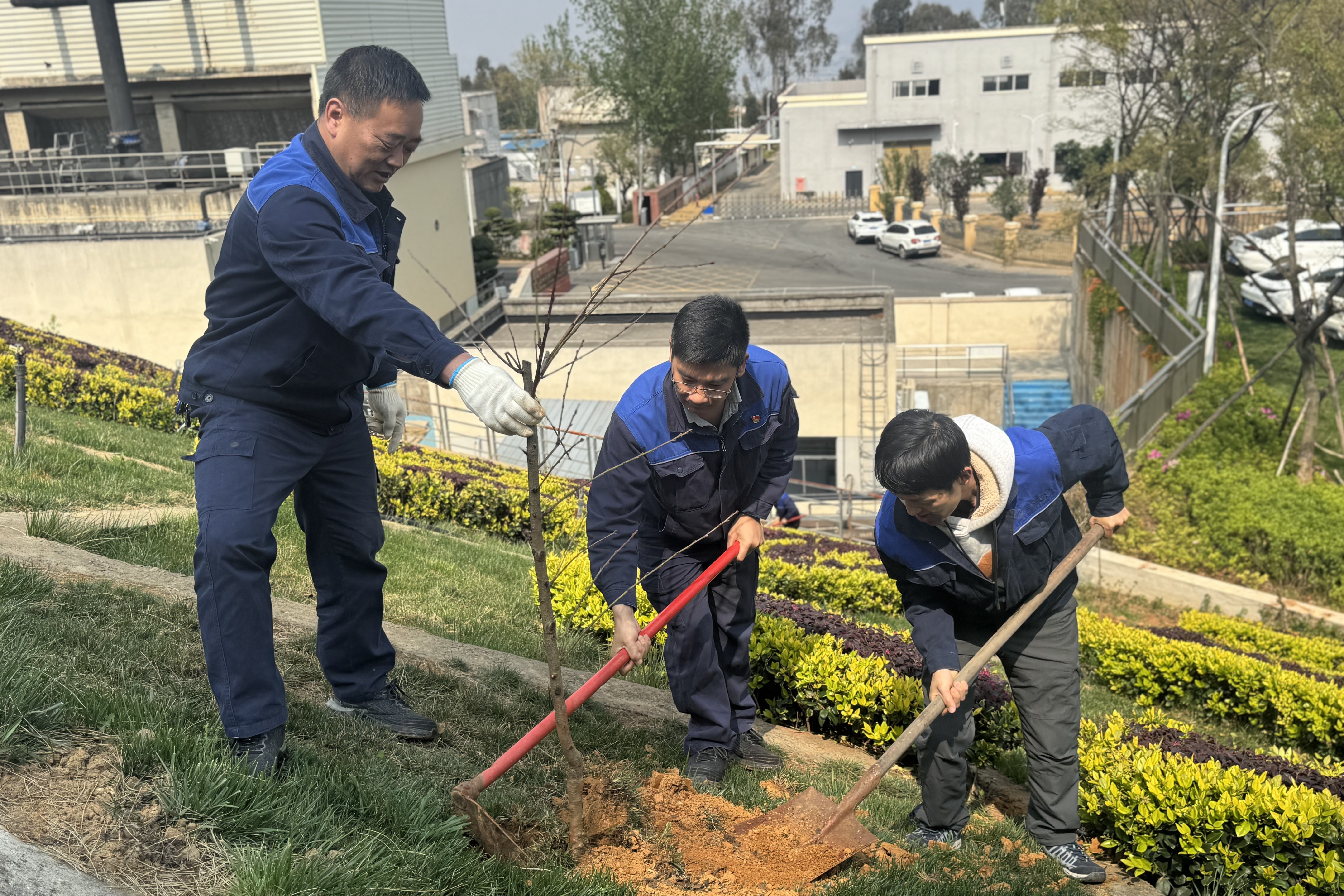 453a927588c921a94015713b2e3f07b4.jpg 453a927588c921a94015713b2e3f07b4.jpg